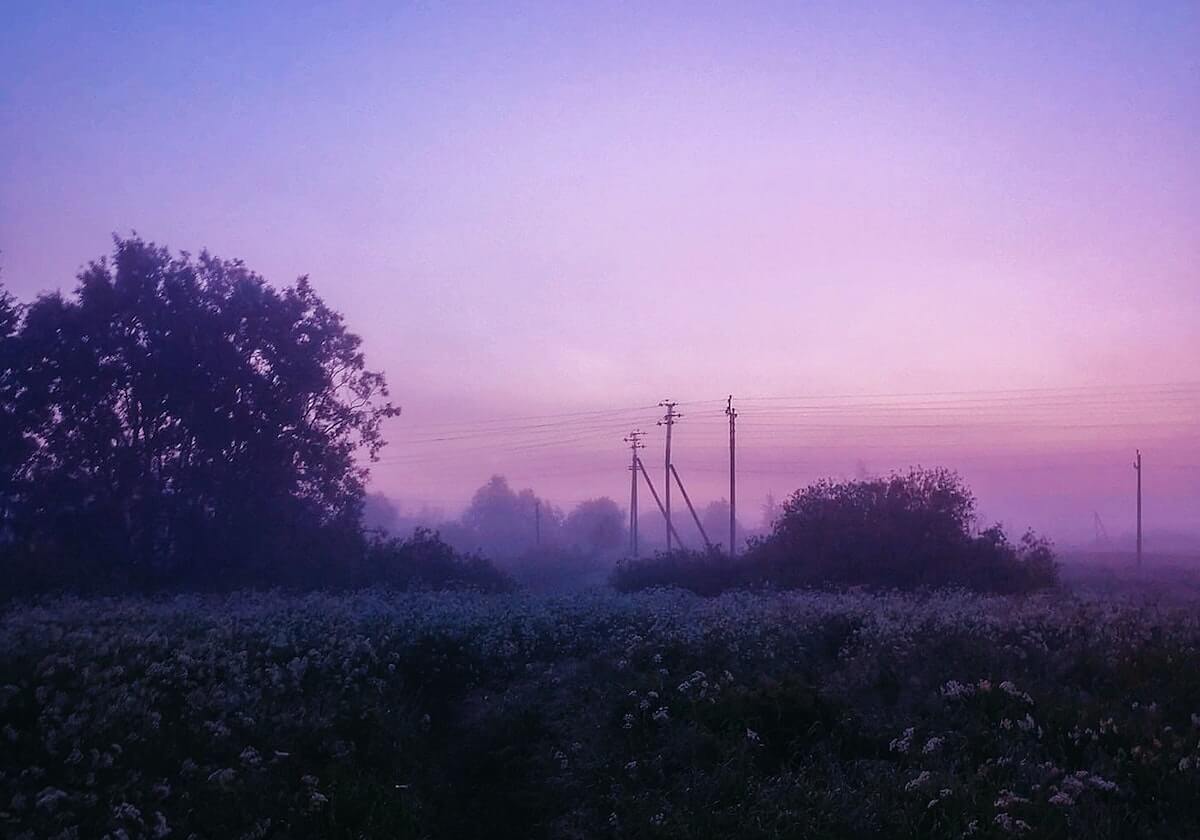微密圈两步读法：先抓引用有没有断章取义，再把镜头选择写明（证据三件事）