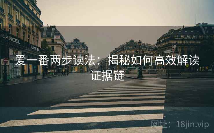 爱一番两步读法：揭秘如何高效解读证据链