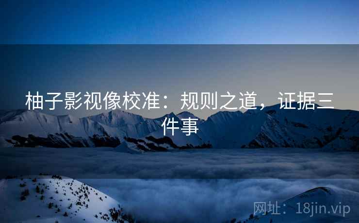 柚子影视像校准：规则之道，证据三件事